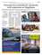 Suplemento 14-08-2025