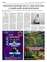 Suplemento 15-07-2025