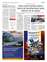 Suplemento 15-08-2025