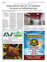 Suplemento 16-07-2025