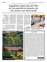 Suplemento 17-06-2025
