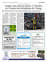Suplemento 17-07-2025