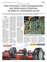 Suplemento 17-08-2025