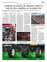 Suplemento 18-08-2025