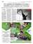 Suplemento 18-08-2025