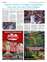 Suplemento 18-08-2025