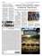 Suplemento 19-05-2025