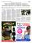 Suplemento 19-05-2025