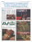 Suplemento 19-05-2025