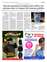 Suplemento 20-05-2025