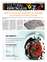 Suplemento 20-06-2025