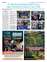 Suplemento 21-04-2025