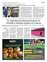 Suplemento 21-06-2025