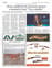 Suplemento 21-07-2025