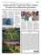 Suplemento 22-04-2025