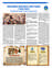 Suplemento 22-06-2025