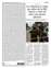 Suplemento 23-06-2025