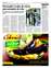 Suplemento 23-08-2012