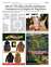 Suplemento 24-06-2025