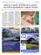 Suplemento 24-07-2025