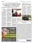 Suplemento 26-05-2025