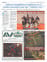 Suplemento 26-05-2025