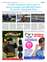 Suplemento 26-05-2025