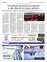 Suplemento 26-05-2025