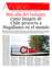 Suplemento 27-07-2025