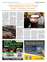 Suplemento 28-05-2025