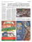 Suplemento 28-05-2025