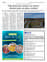 Suplemento 28-06-2025