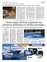 Suplemento 28-07-2025