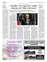Suplemento 29-05-2025