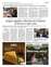 Suplemento 30-05-2025