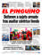 Suplemento 30-12-2024