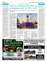 Suplemento 31-05-2025