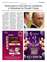 Suplemento 31-07-2025