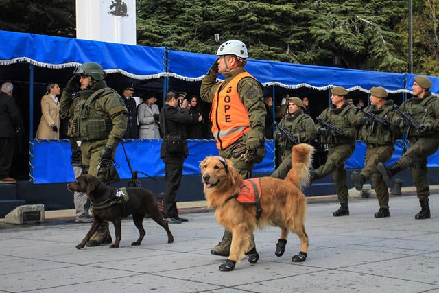 JCS desfile aniversario 91 carabineros-4038.jpg