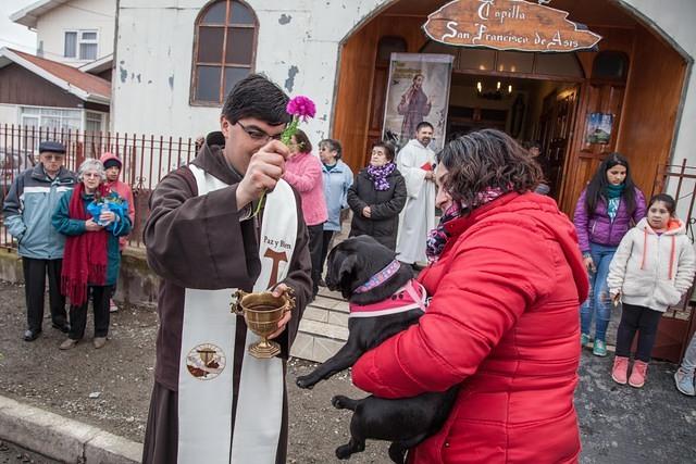 Bendicion de los animalitos (21)