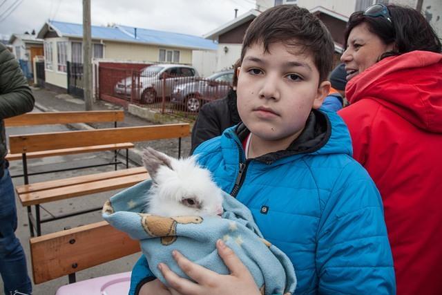 Bendicion de los animalitos (23)