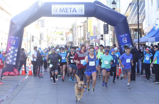 Captura de pantalla 2018-11-18 a la(s) 14.18.14