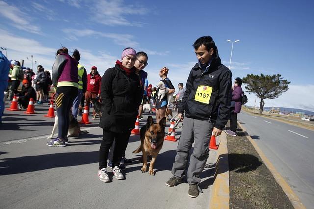 MARATON MASCOTAS 2.JPG