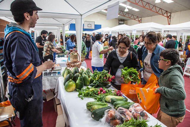 Feria saludable (20)