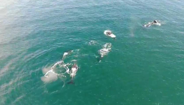 Captura de pantalla 2018-09-20 a la(s) 10.34.36