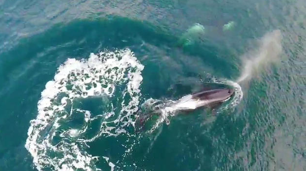 Captura de pantalla 2018-09-20 a la(s) 10.34.46