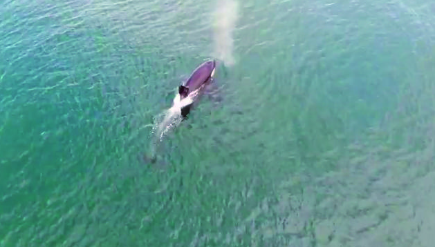 Captura de pantalla 2018-09-20 a la(s) 10.34.59