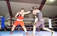 BOXEO 13-06