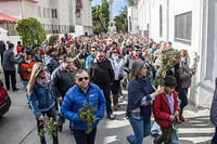 Domingo de Ramos (16)