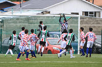 JCS sokol vs palestino regional-8226.jpg